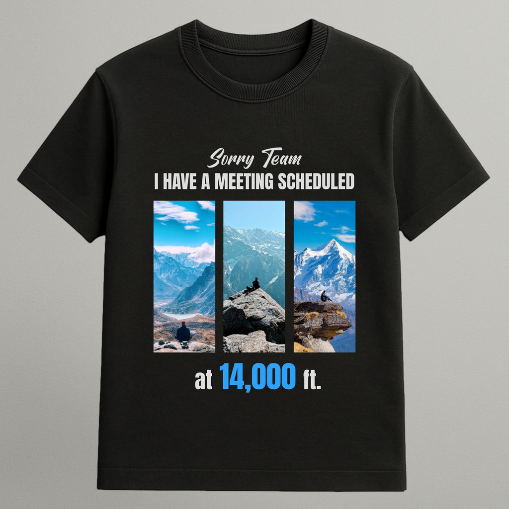 I Have a Meeting T-shirt