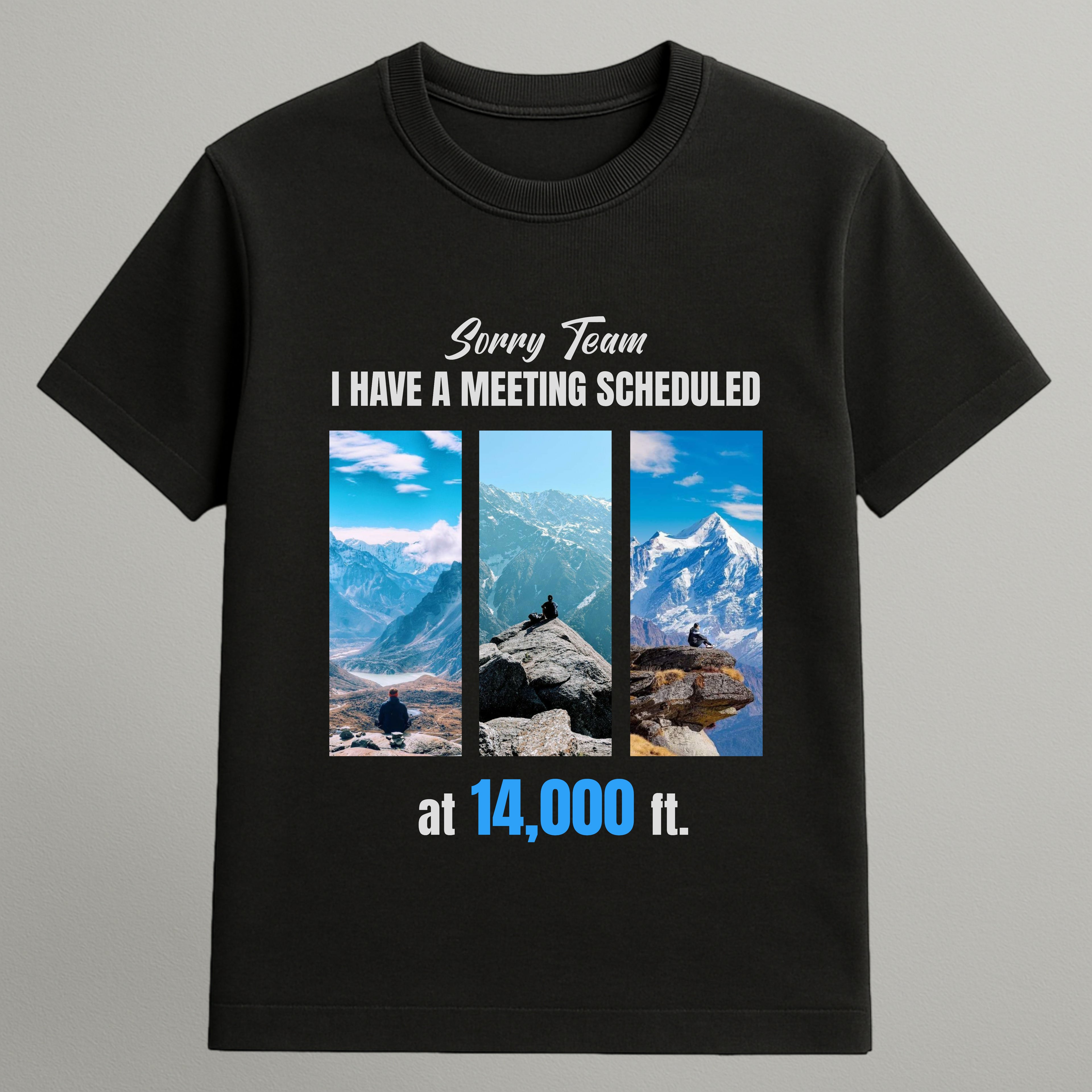 I Have a Meeting T-shirt